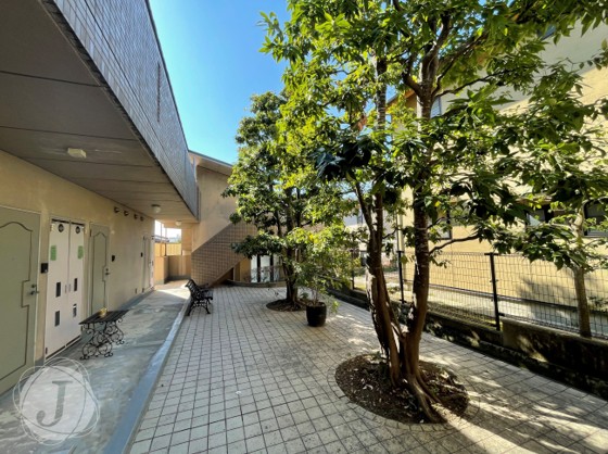 写真2